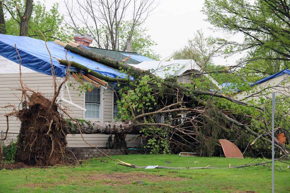Trusted Roof Damage Repair Insurance in Baltimore MD