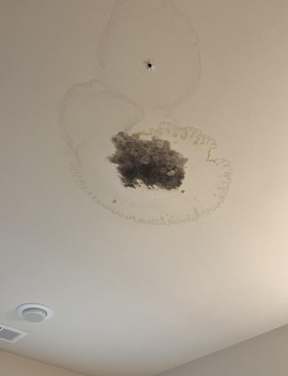 reasons a roof is leaking in Baltimore